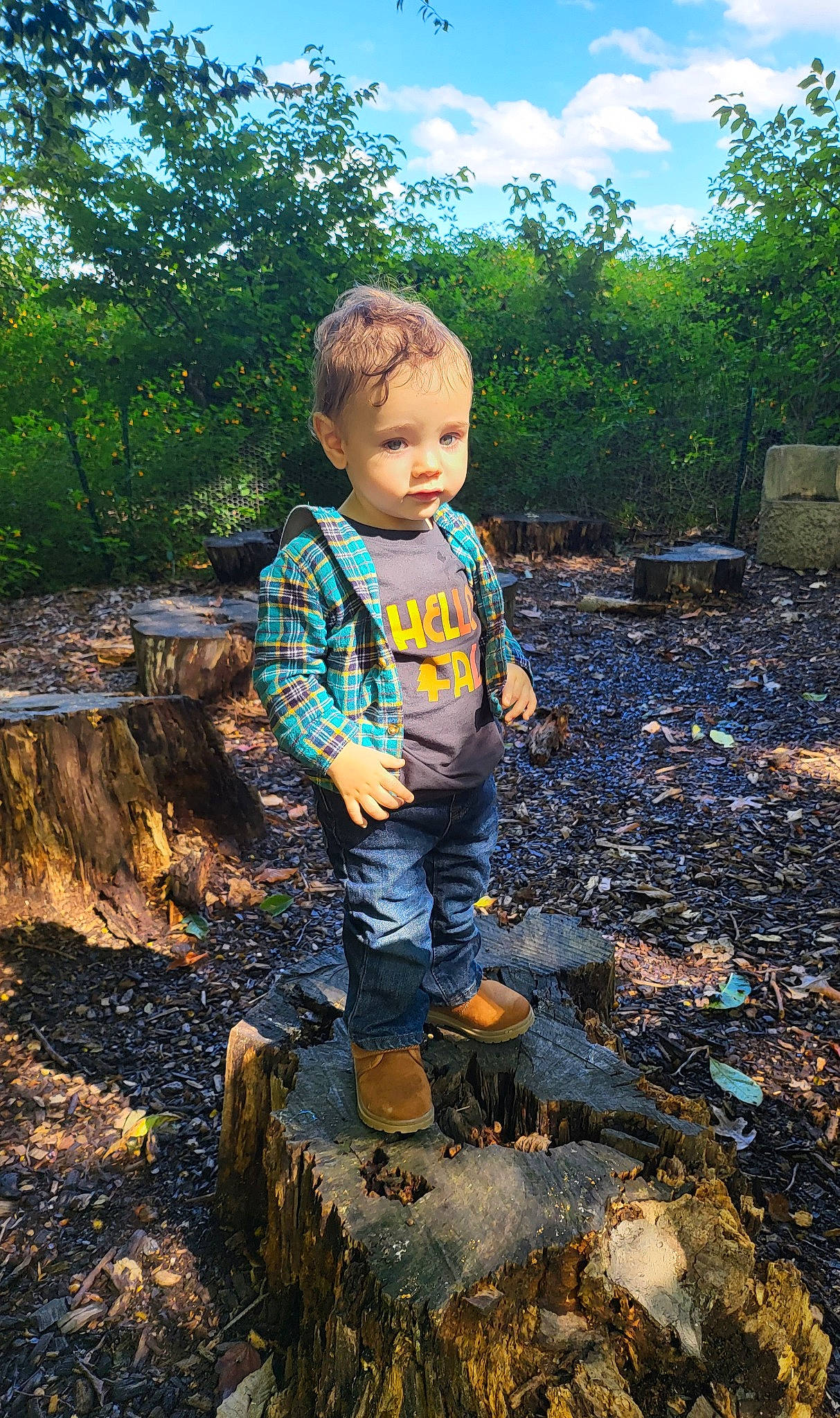 Aidan is registered to the contest to win money with this photo: child, forest, fun, garden, grass, happy, landscape, leisure, people_in_nature, person, plant, rock, rural_area, sitting, sky, soil, sunlight, toddler, tree, vacation