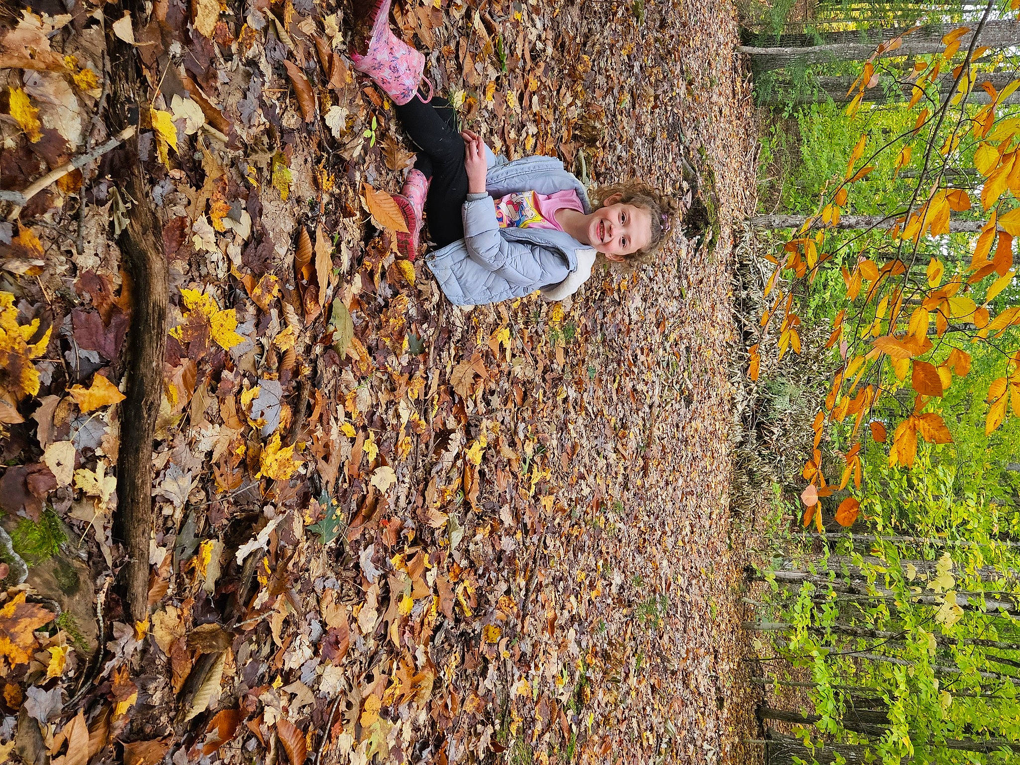 Angelina joined the competition — help win amazing prizes! branch, deciduous, forest, grass, groundcover, joy, landscape, leisure, natural_landscape, northern_hardwood_forest, people_in_nature, person, plant, recreation, rock, shrub, soil, tree, trunk, twig