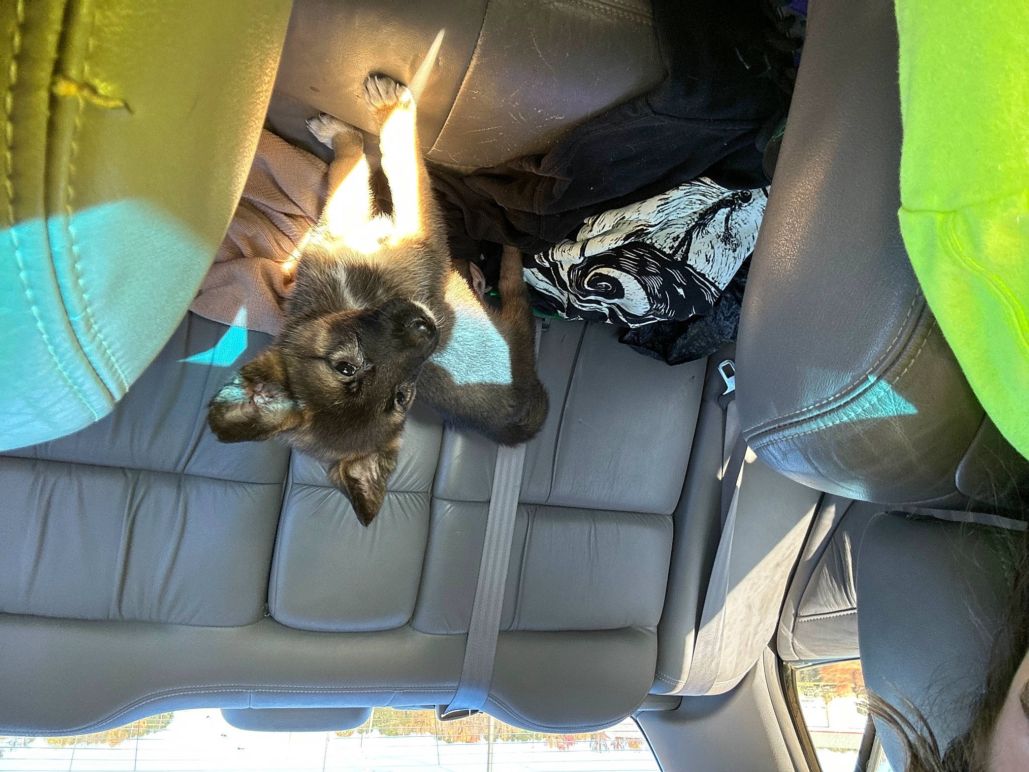 Khalúa is registered to the contest to win money with this photo: auto_part, automotive_design, automotive_exterior, automotive_lighting, automotive_window_part, car_seat, car_seat_cover, family_car, glass, hood, luxury_vehicle, metal, motor_vehicle, personal_luxury_car, personal_protective_equipment, tints_and_shades, tree, vehicle, vehicle_door, windshield