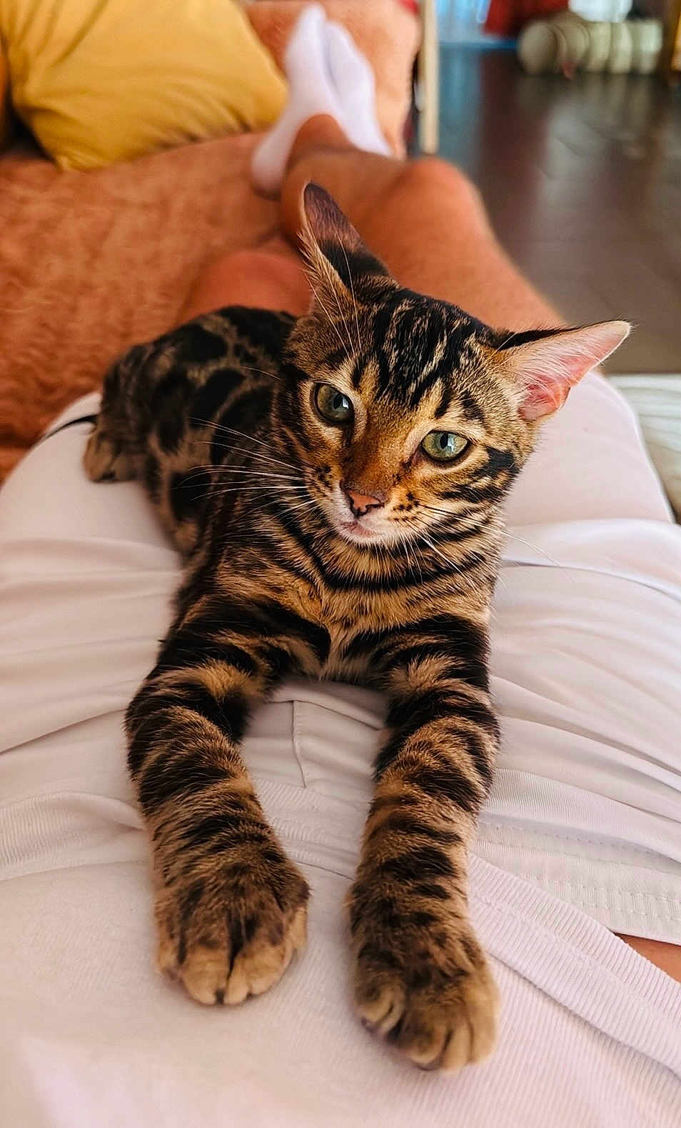 Ajax
