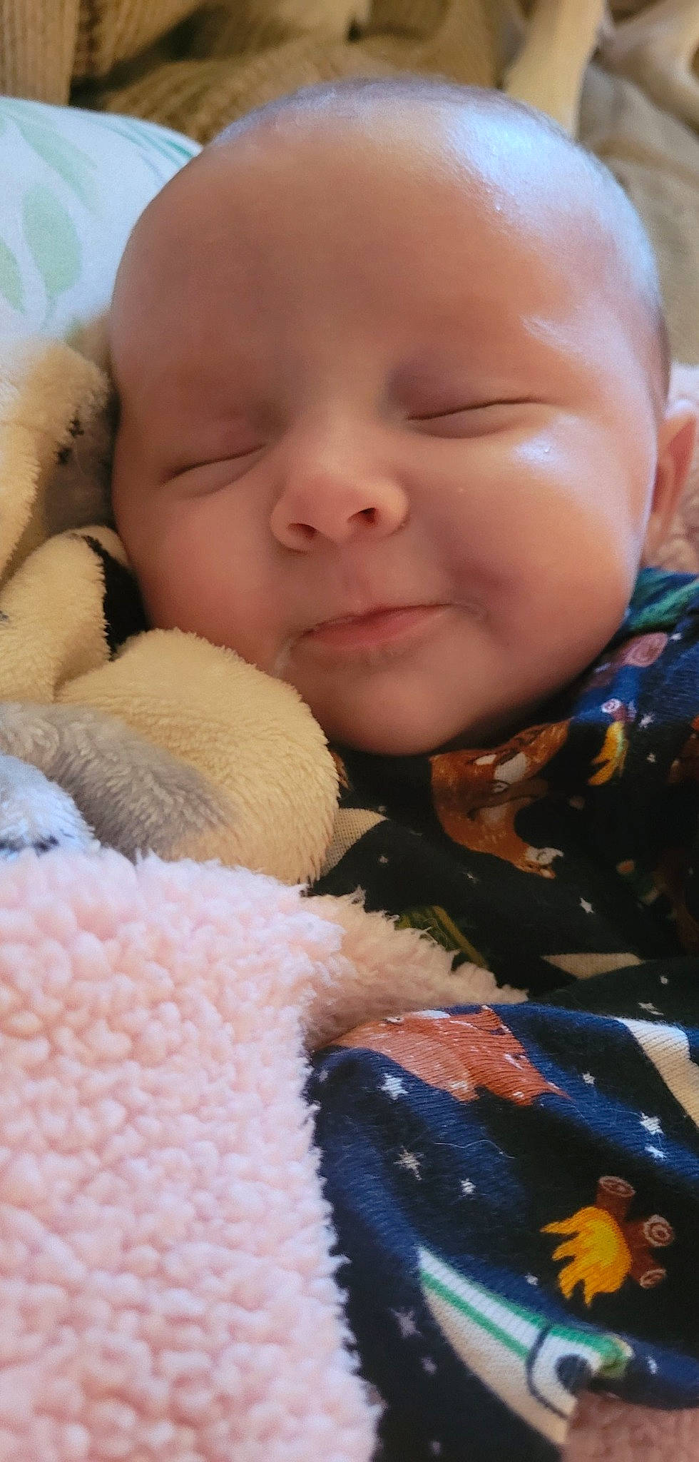 Allison is registered to the contest to win money with this photo: baby, baby_sleeping, baby_toddler_clothing, cheek, child, chin, comfort, eye, finger, fur, happy, human_body, iris, lip, mouth, nose, person, skin, smile, textile