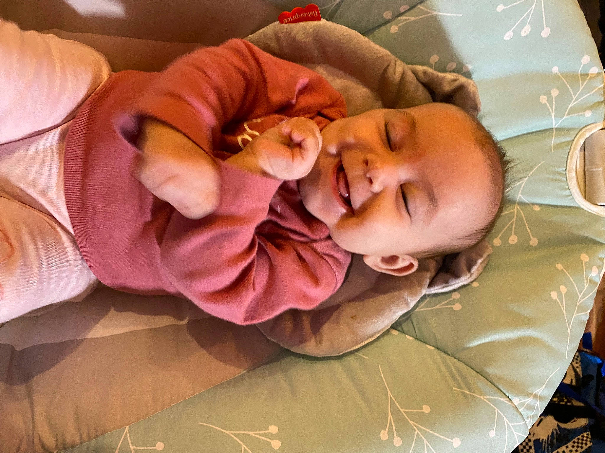 Leilani is registered to the contest to win money with this photo: baby, baby_products, baby_toddler_clothing, cheek, child, comfort, event, finger, gesture, grass, happy, mouth, nail, nose, person, pink, room, skin, smile, thumb