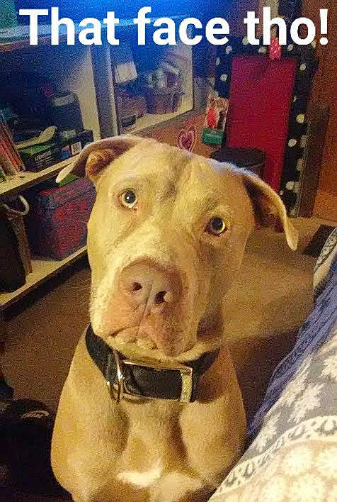 Beauregard Chevrolet