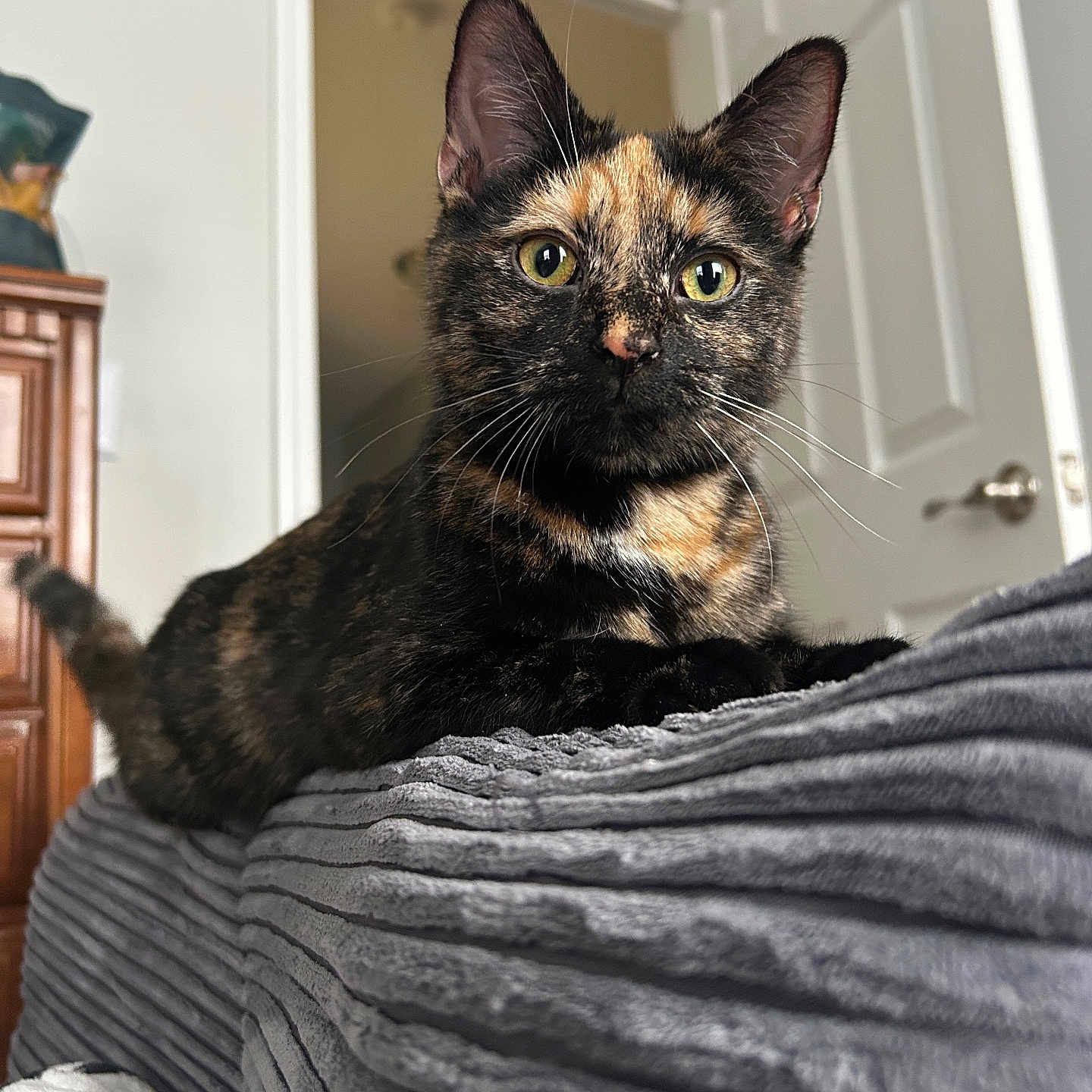 Hermione