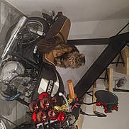 Sucette participe au concours pour gagner de l'argent avec cette photo : audio_equipment, auto_part, automotive_design, automotive_lighting, automotive_tire, cable, electrical_supply, electrical_wiring, electronic_instrument, groupset, machine, metal, microphone, motor_vehicle, personal_protective_equipment, rim, room, tire, vehicle, wire