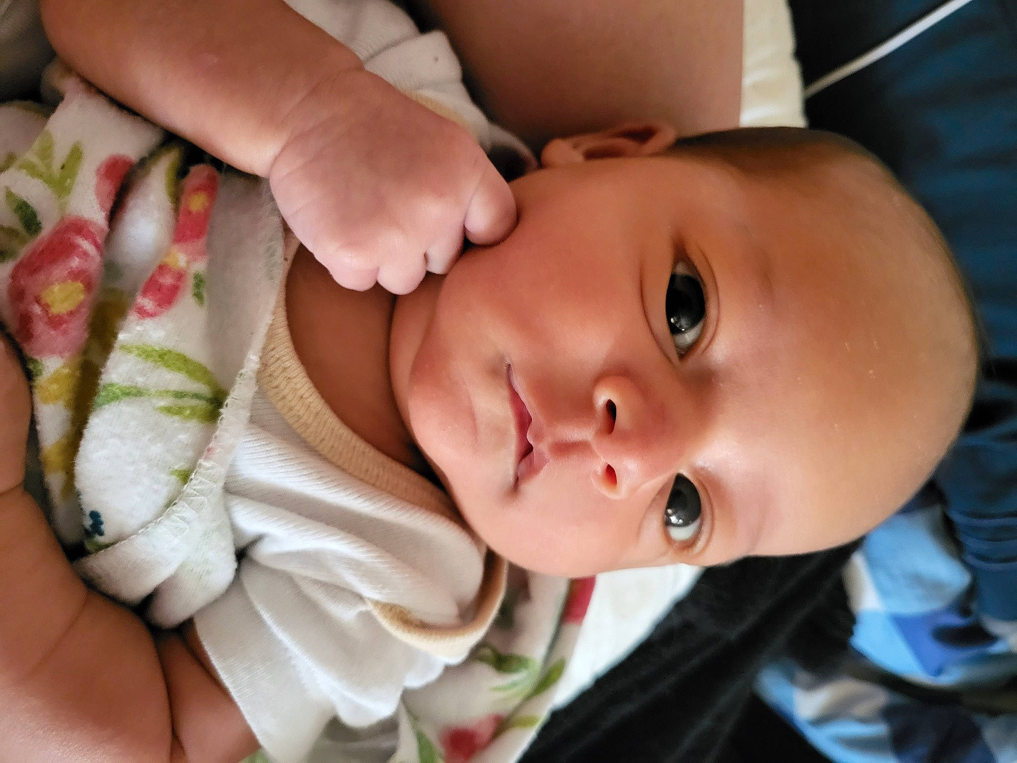 Devin joined the competition — help win amazing prizes! baby, baby_toddler_clothing, cheek, chin, dress, eye, eyebrow, eyelash, facial_expression, gesture, happy, headgear, iris, lip, mouth, nose, person, plant, product, skin