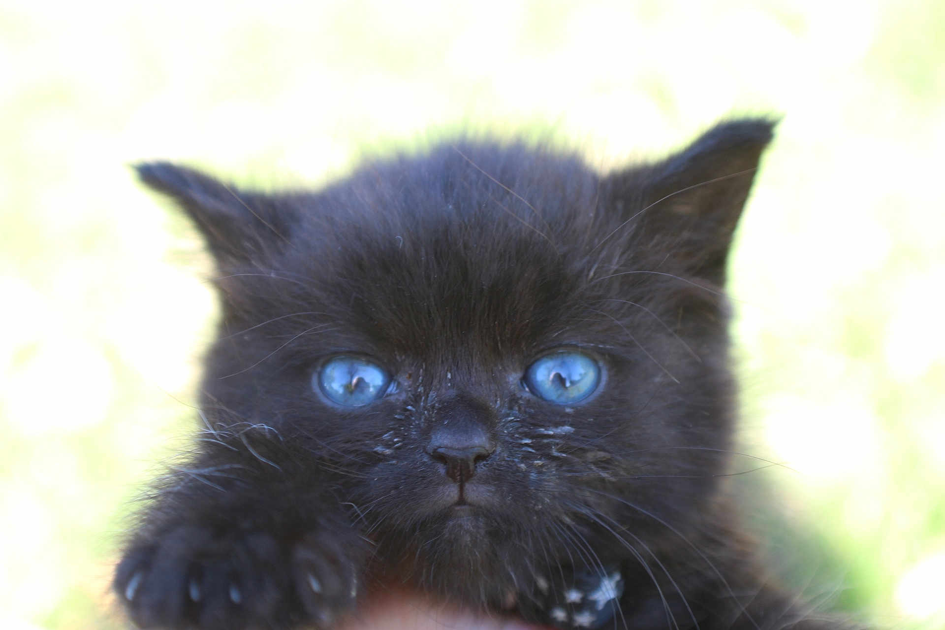 Luna