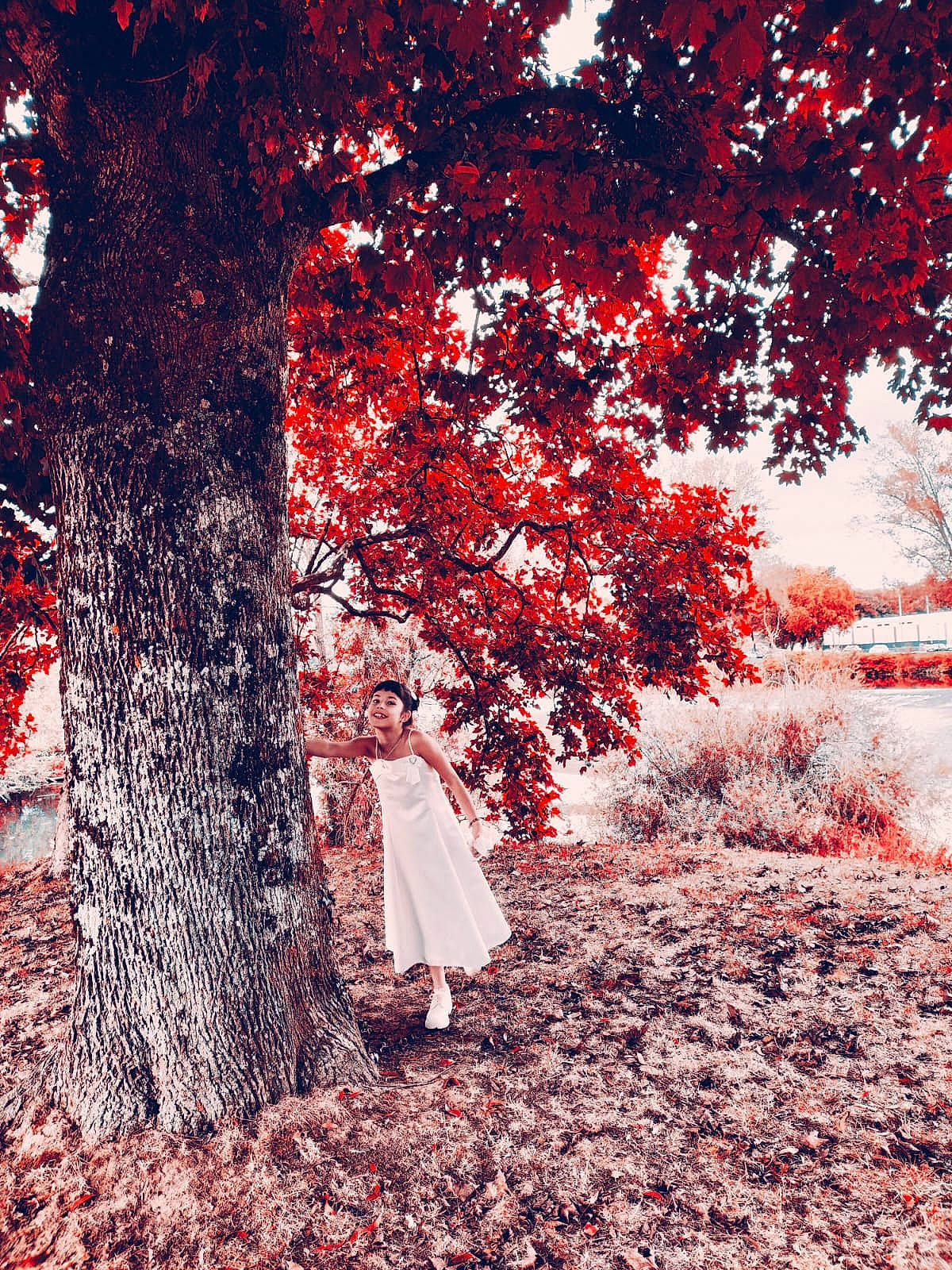 Livia participe au concours pour gagner de l'argent avec cette photo : art, deciduous, forest, grass, grove, joy, landscape, natural_landscape, northern_hardwood_forest, people_in_nature, person, plant, plant_stem, rectangle, shade, temperate_broadleaf_and_mixed_forest, tints_and_shades, tree, trunk, twig