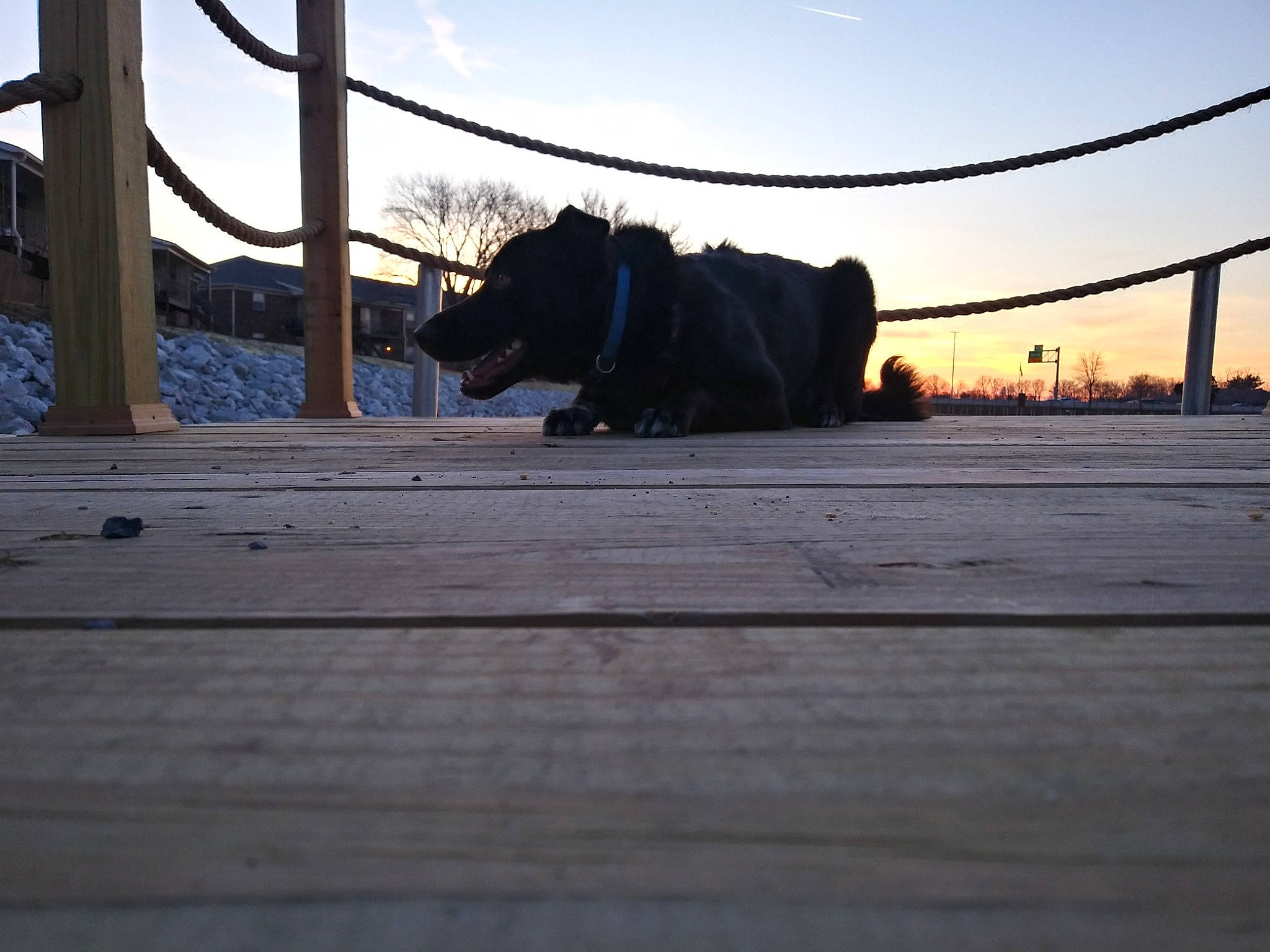 Watts is registered to the contest to win money with this photo: asphalt, cloud, floor, landscape, metal, morning, sky, sporting_group, sunset, tree, wood