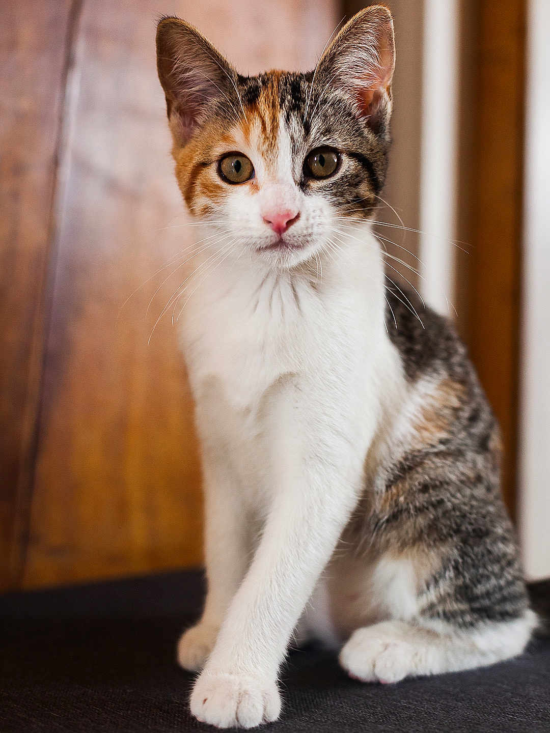 Chouquette