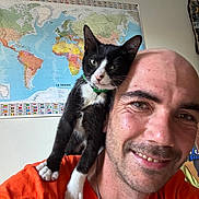 Azraelle a rejoint le concours — aidez-le/la à gagner de superbes lots ! man, cat, shoulder, orange_shirt, black_and_white_cat, smile, bald, indoor, world_map, wall, green_collar, pet, happy, portrait, closeup, animal, friendship, feline, human, casual