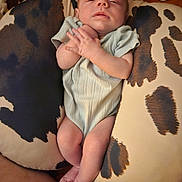 Elijah is registered to the contest to win money with this photo: baby, infant, pillow, cow_print, sleepy, hands, legs, feet, clothing, onesie, skin, relaxing, resting, indoors, cushion, pattern, person, newborn, comfort, soft