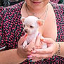 Olaf participe au concours pour gagner de l'argent avec cette photo : person, puppy, dog, glasses, nails, floral_dress, smile, holding, cute, small_dog, jewelry, bracelet, necklace, short_hair, indoors, portrait, hand, happy, animal, pet