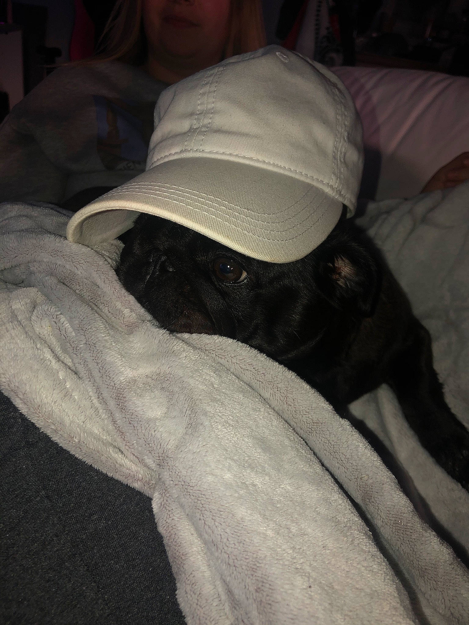 Yestah a rejoint le concours — aidez-le/la à gagner de superbes lots ! baseball_cap, beard, cap, carnivore, comfort, companion_dog, darkness, dog, dog_breed, elbow, eyewear, fashion_accessory, gesture, hat, human_leg, jaw, personal_protective_equipment, sun_hat, tints_and_shades, wrist