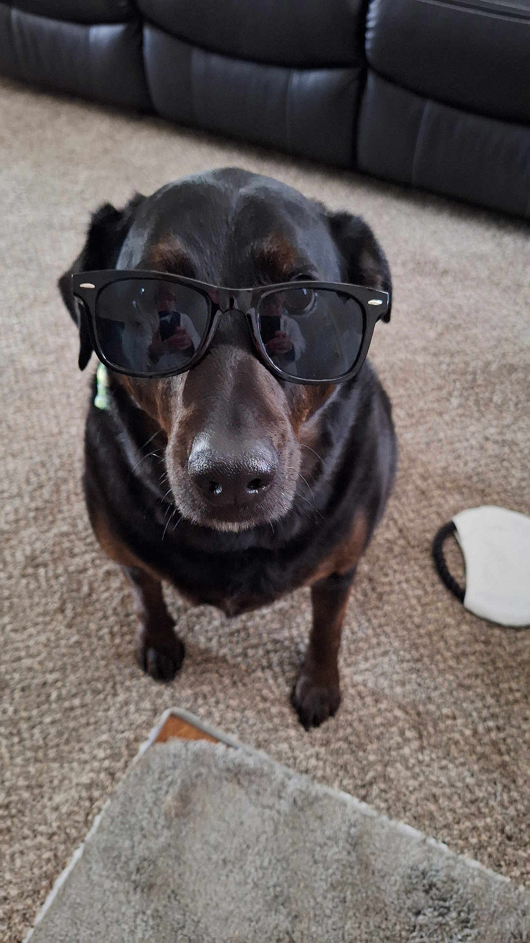 Molly