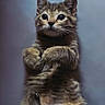 Kendal joined the competition — help win amazing prizes! cat, kitten, animal, pet, feline, tabby, brown_fur, striped_fur, blue_eyes, large_eyes, whiskers, pointed_ears, paws, sitting, upright, portrait, closeup, indoor, blue_background, ai_generated
