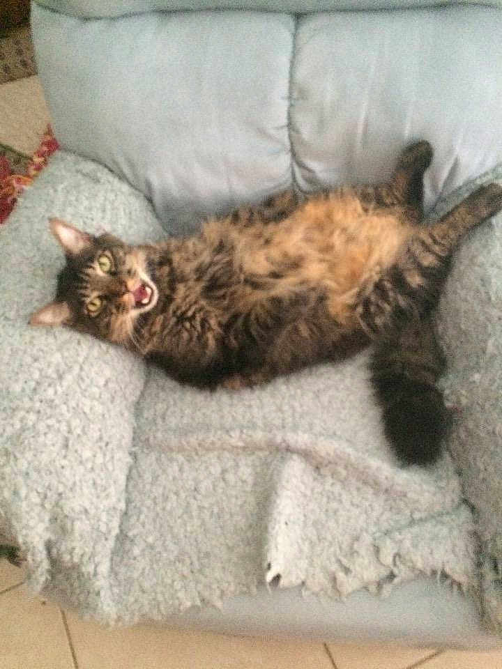 Minxy is registered to the contest to win money with this photo: