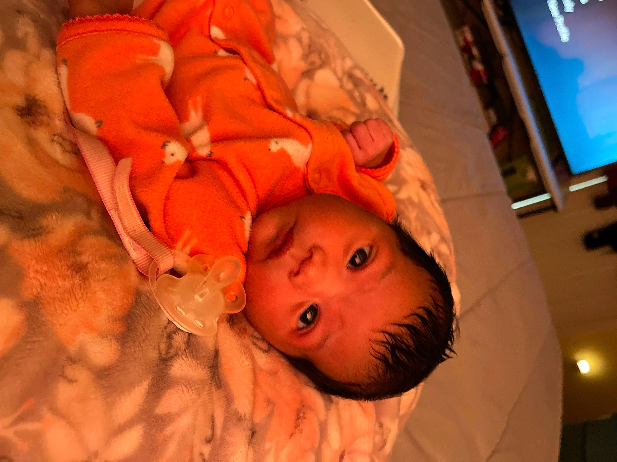 Evangeline is registered to the contest to win money with this photo: baby, carmine, cheek, comfort, event, eyelash, fun, fur, human_body, iris, lip, mouth, nose, orange, peach, person, room, television, toddler, tree