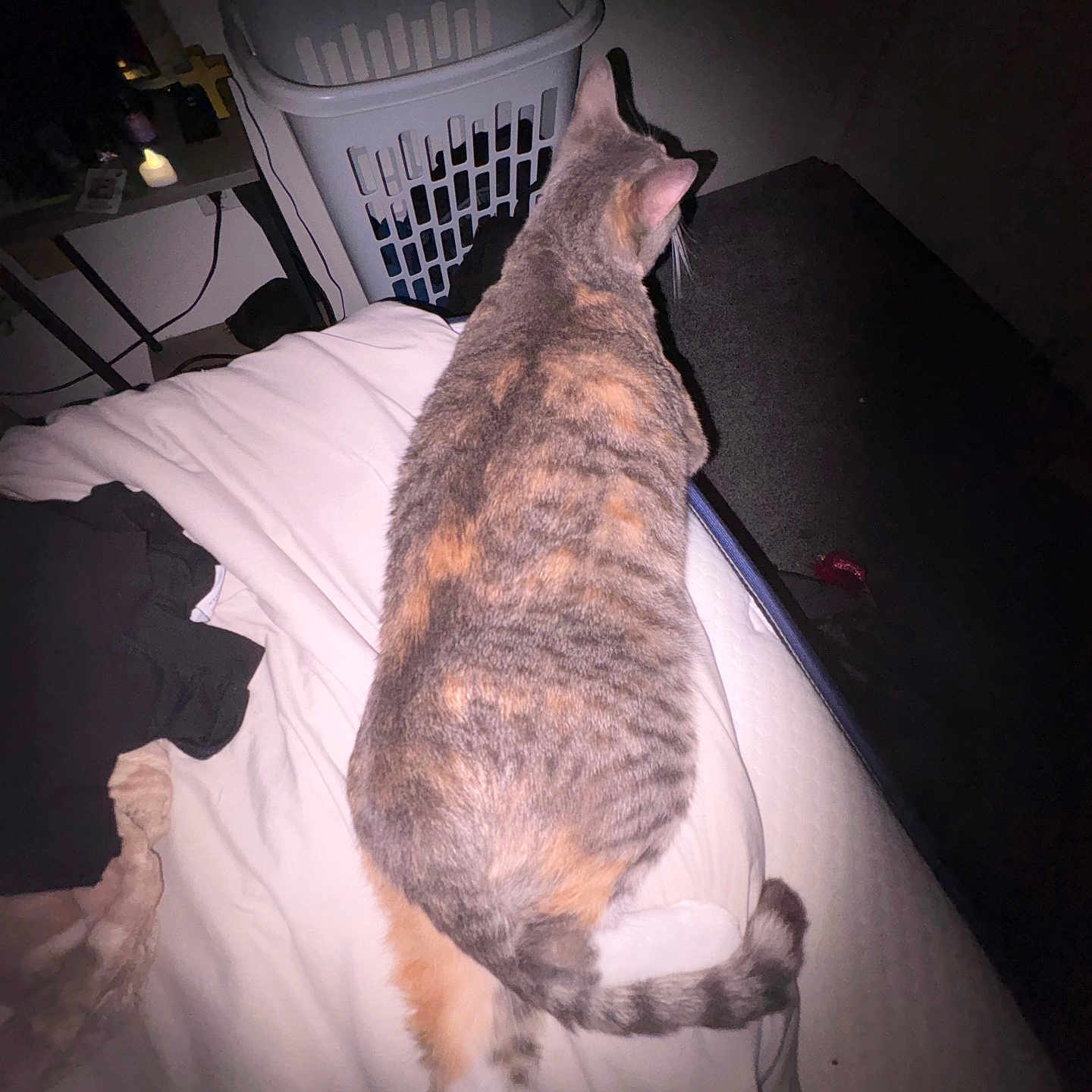 Kiki