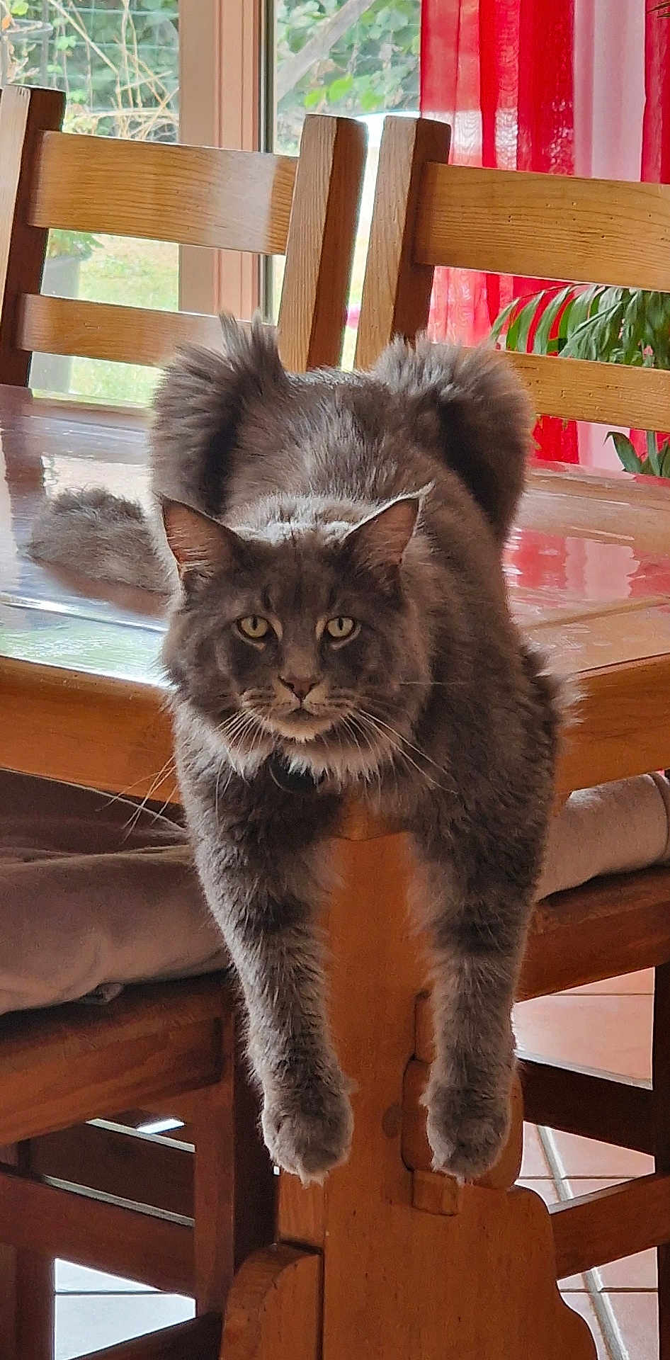 Urko