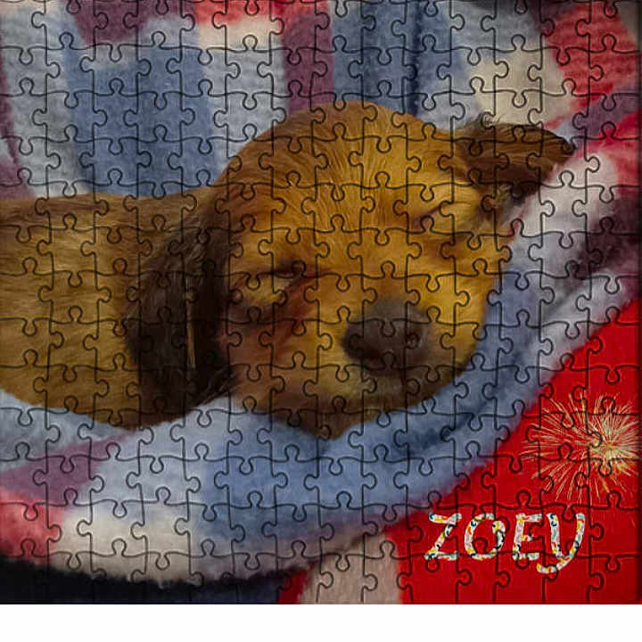 Zoey