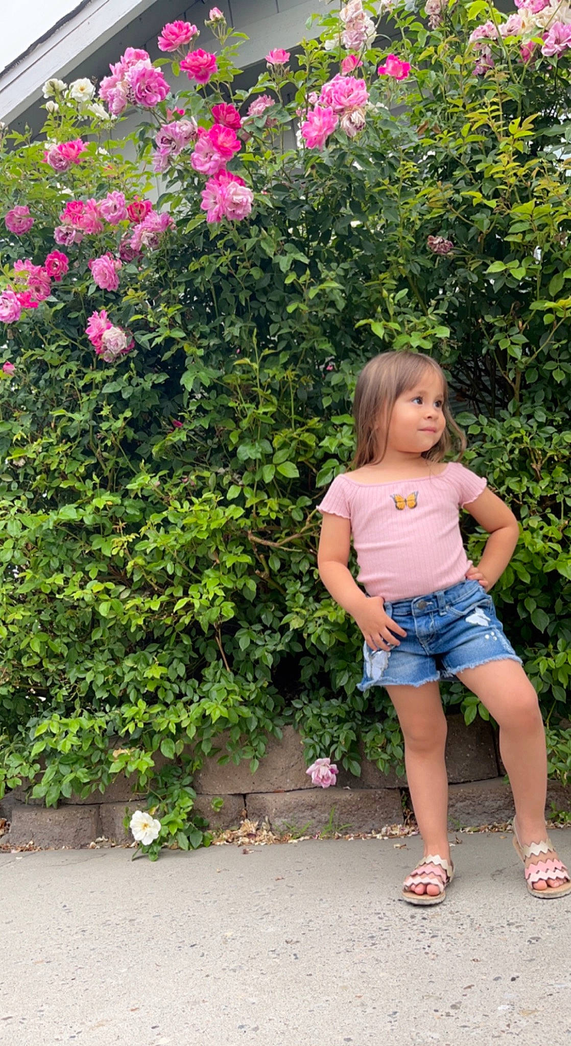 Dulce Cruz joined the competition — help win amazing prizes! annual_plant, denim, electric_blue, flower, flowering_plant, garden, grass, happy, human_leg, leaf, leisure, magenta, people_in_nature, person, petal, pink, plant, rose, shrub, toddler