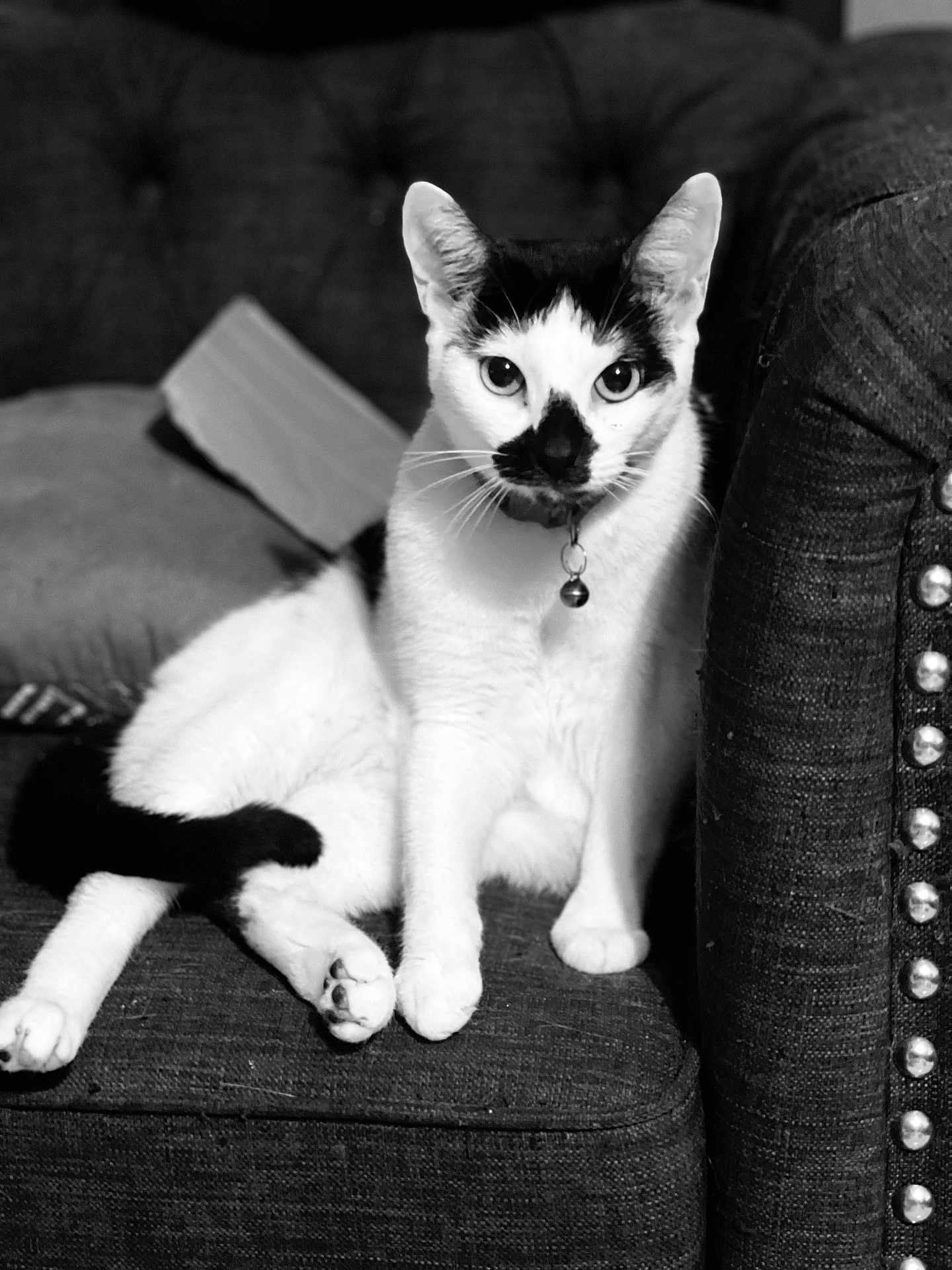 Rupert