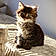Balthazar