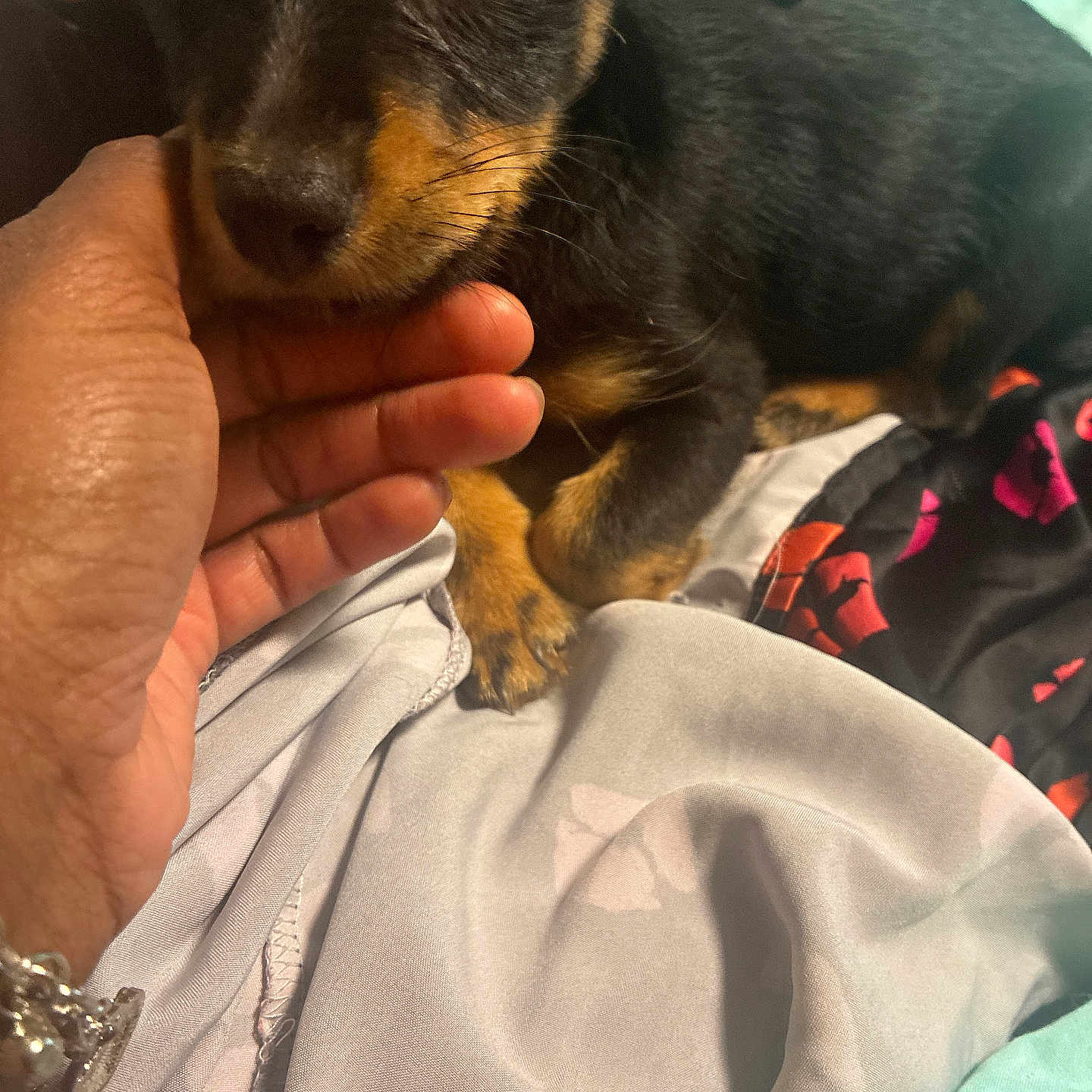 Remi
