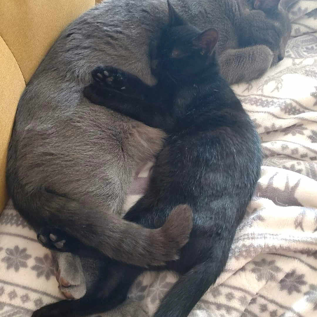 Billy Et Lilly