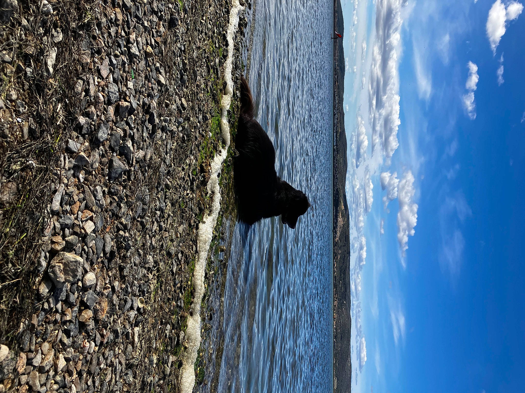 Rio participe au concours pour gagner de l'argent avec cette photo : asphalt, bedrock, cloud, electric_blue, formation, freezing, lake, landscape, plant, reflection, road_surface, rock, shadow, sky, sunlight, tar, trunk, water, winter, wood