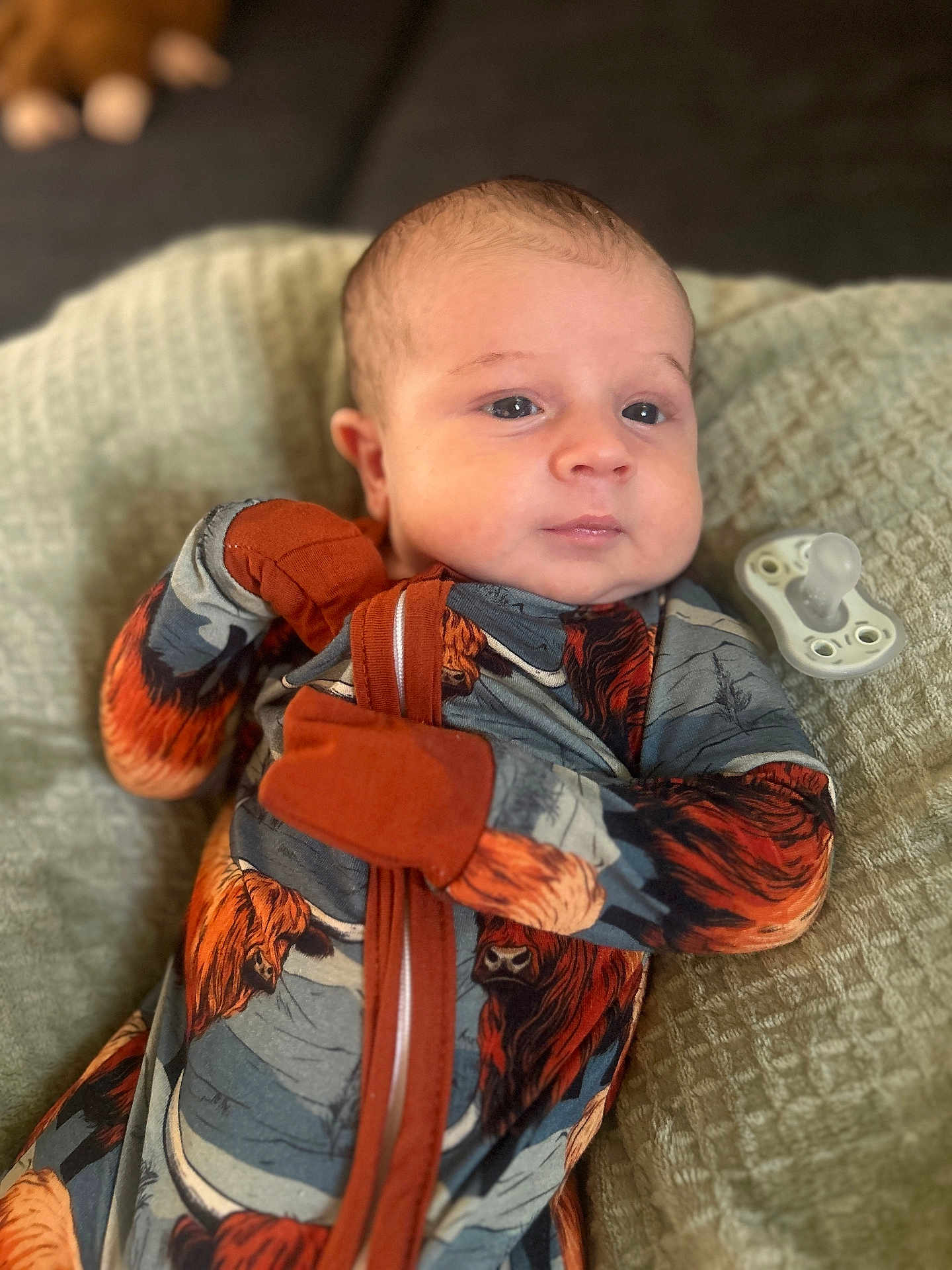 Camden is registered to the contest to win money with this photo: baby, infant, newborn, onesie, mittens, pacifier, blanket, bedding, couch, portrait, close_up, face, eyes, hands, cute, sleepy, soft_texture, patterned_clothing, home_interior, photography