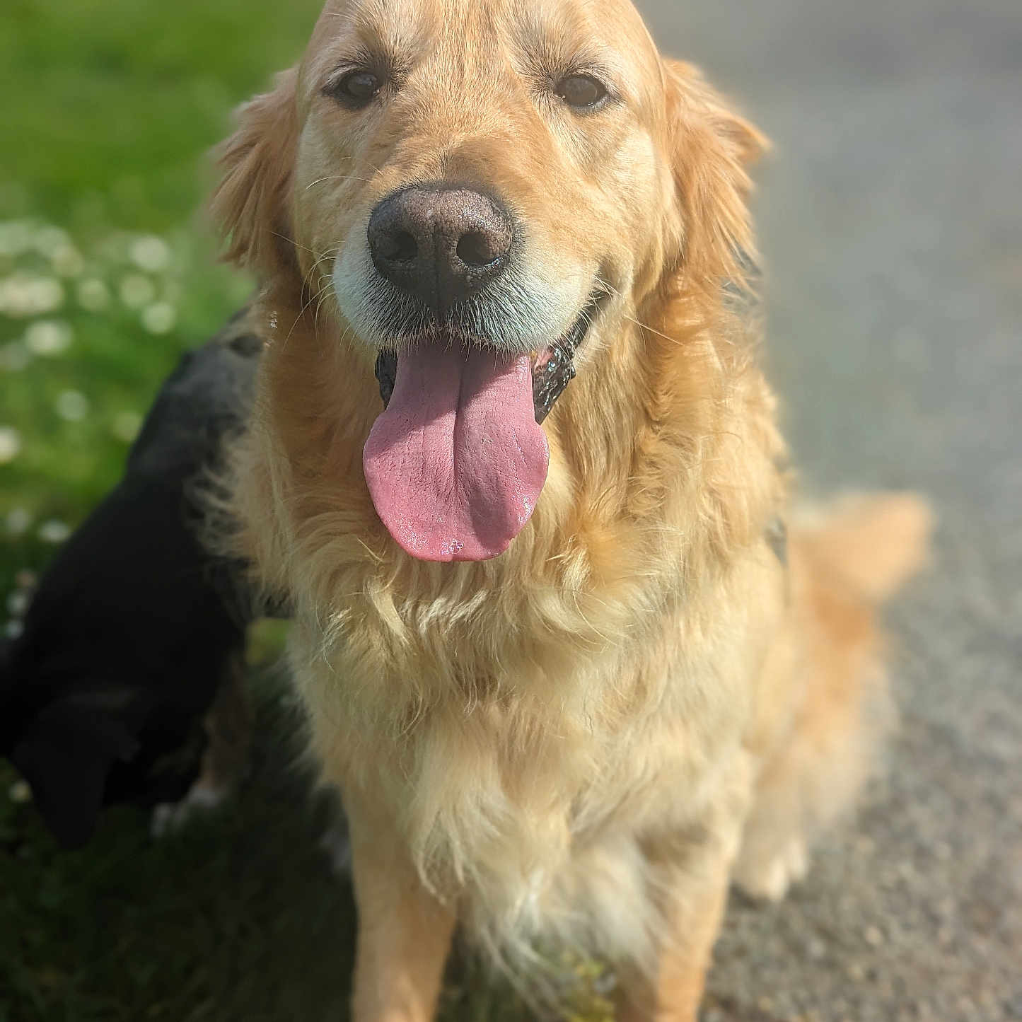 Doug
