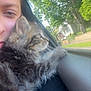 Simba is registered to the contest to win money with this photo: kitten, cat, person, face, window, car, fur, outdoor, tree, greenery, daylight, snuggling, closeup, pet, animal, curious, soft, blurred_background, portrait, companion