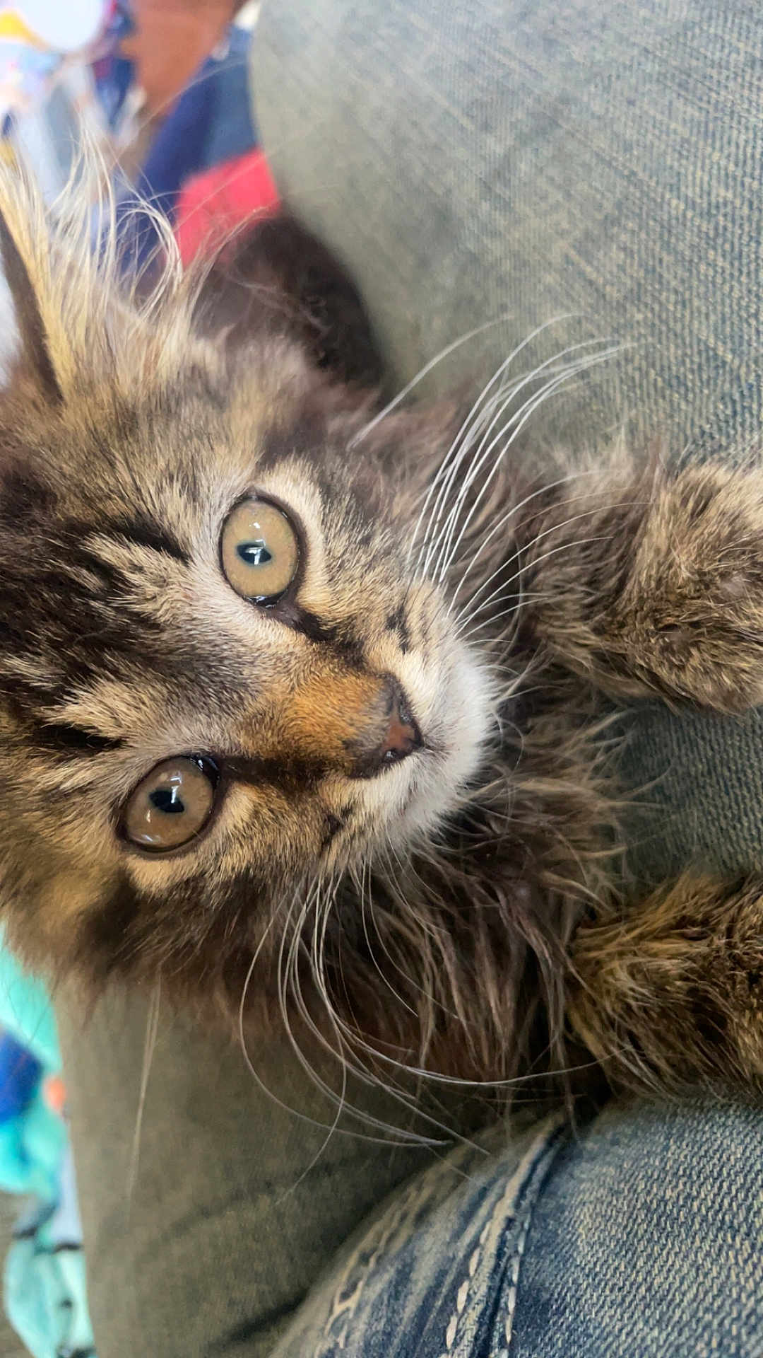Simba