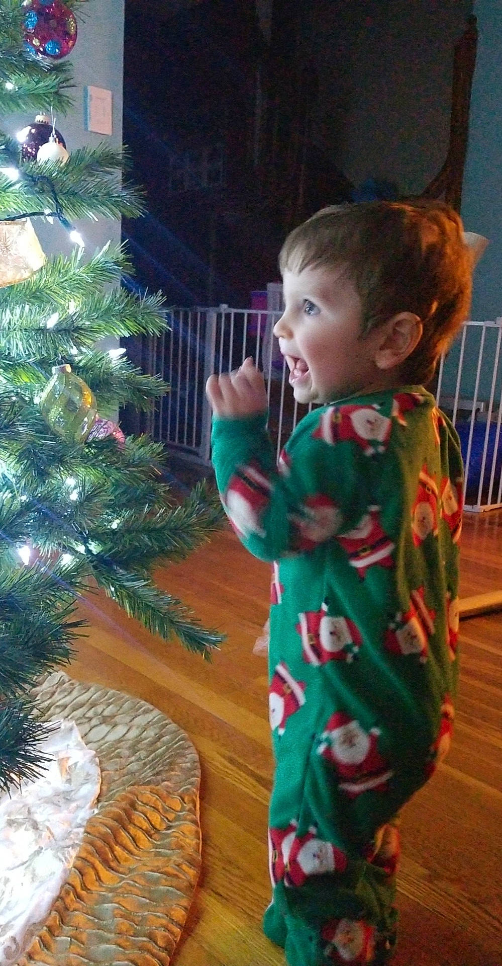 Bishop joined the competition — help win amazing prizes! child, christmas, christmas_eve, christmas_ornament, christmas_tree, fir, holiday, interior_design, person, pine_family, plant, toddler, tree