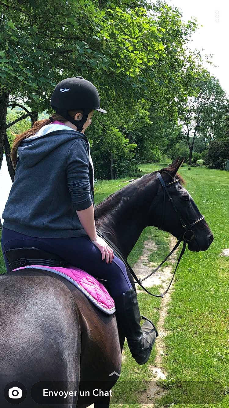 Narcotica a rejoint le concours — aidez-le/la à gagner de superbes lots ! animal_sports, bridle, english_riding, equestrian, equestrian_helmet, equestrian_sport, equestrianism, equitation, halter, horse, horse_supplies, horse_tack, jockey, mammal, mare, outdoor_recreation, recreation, rein, saddle, vertebrate