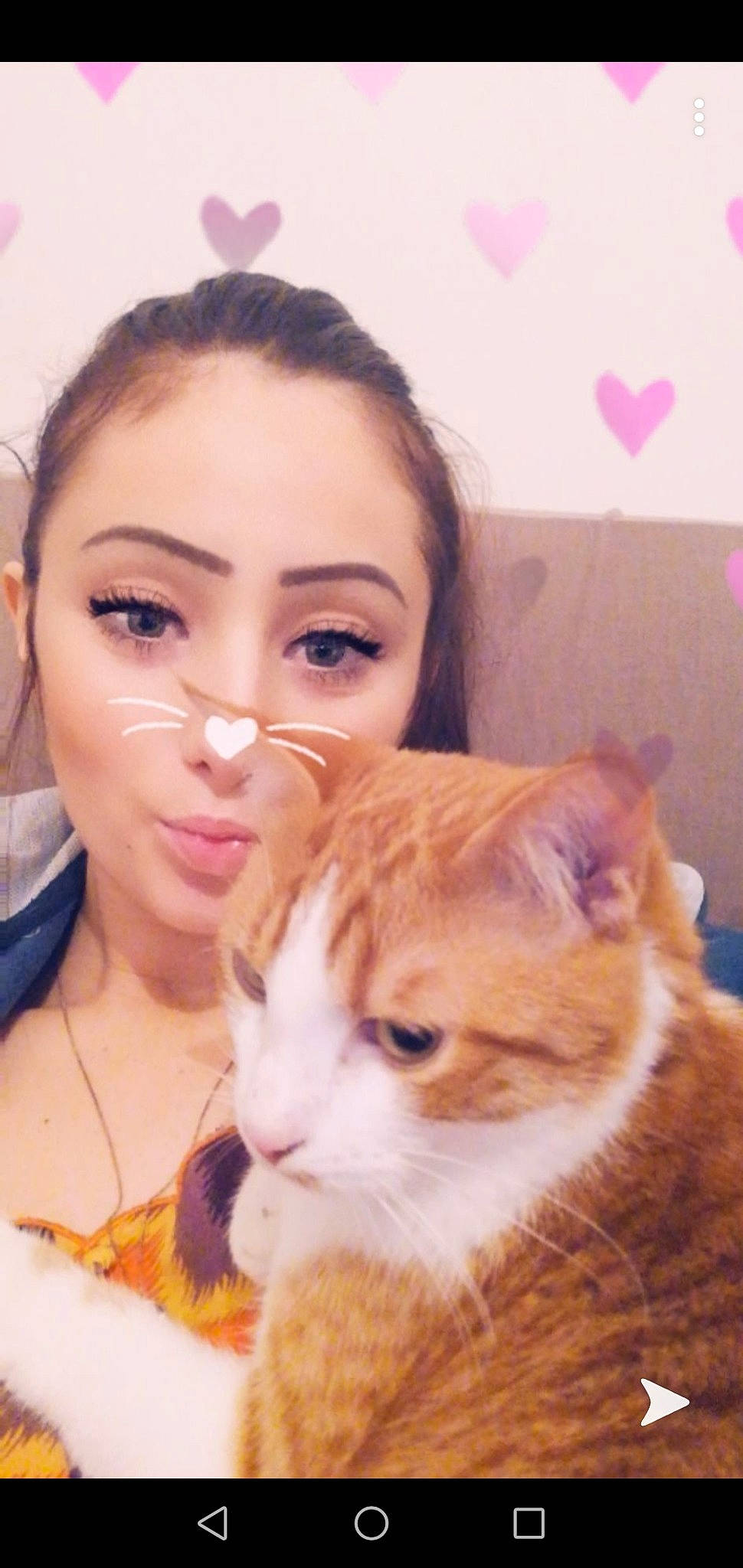 Ruby a rejoint le concours — aidez-le/la à gagner de superbes lots ! american_curl, asian, brown_hair, carnivore, cat, domestic_short_haired_cat, ear, european_shorthair, fawn, felidae, fur, kitten, nose, skin, small_to_medium_sized_cats, tabby_cat, whiskers