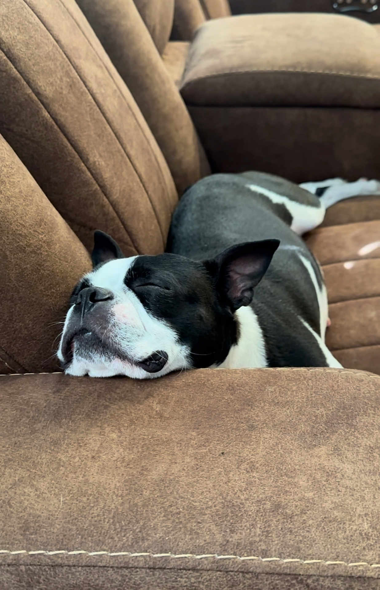 Maggie