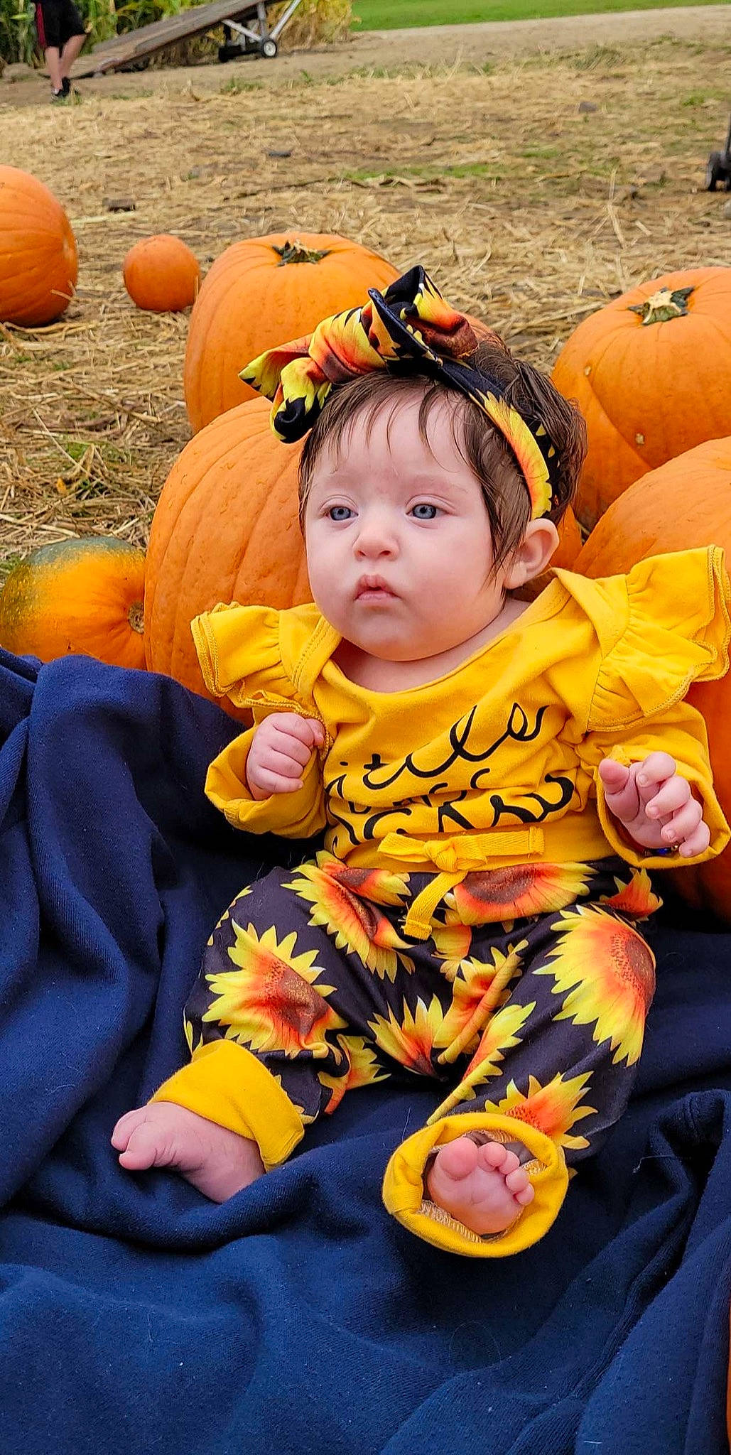 Adrienne is registered to the contest to win money with this photo: baby, baby_toddler_clothing, calabaza, cucurbita, eye, face, gourd, grass, green, happy, head, orange, people_in_nature, person, plant, pumpkin, squash, toddler, vegetable, winter_squash