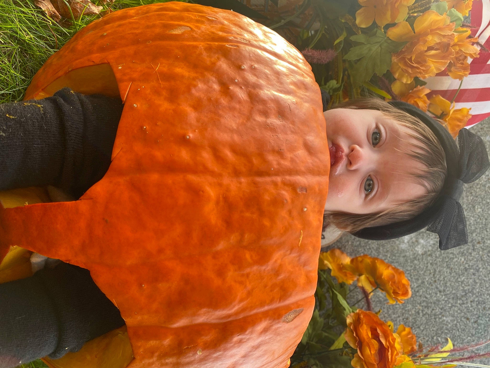 Adrienne is registered to the contest to win money with this photo: art, botany, calabaza, cucurbita, eye, fruit, gourd, grass, happy, natural_foods, orange, organ, people_in_nature, person, plant, pumpkin, smile, squash, vegetable, winter_squash