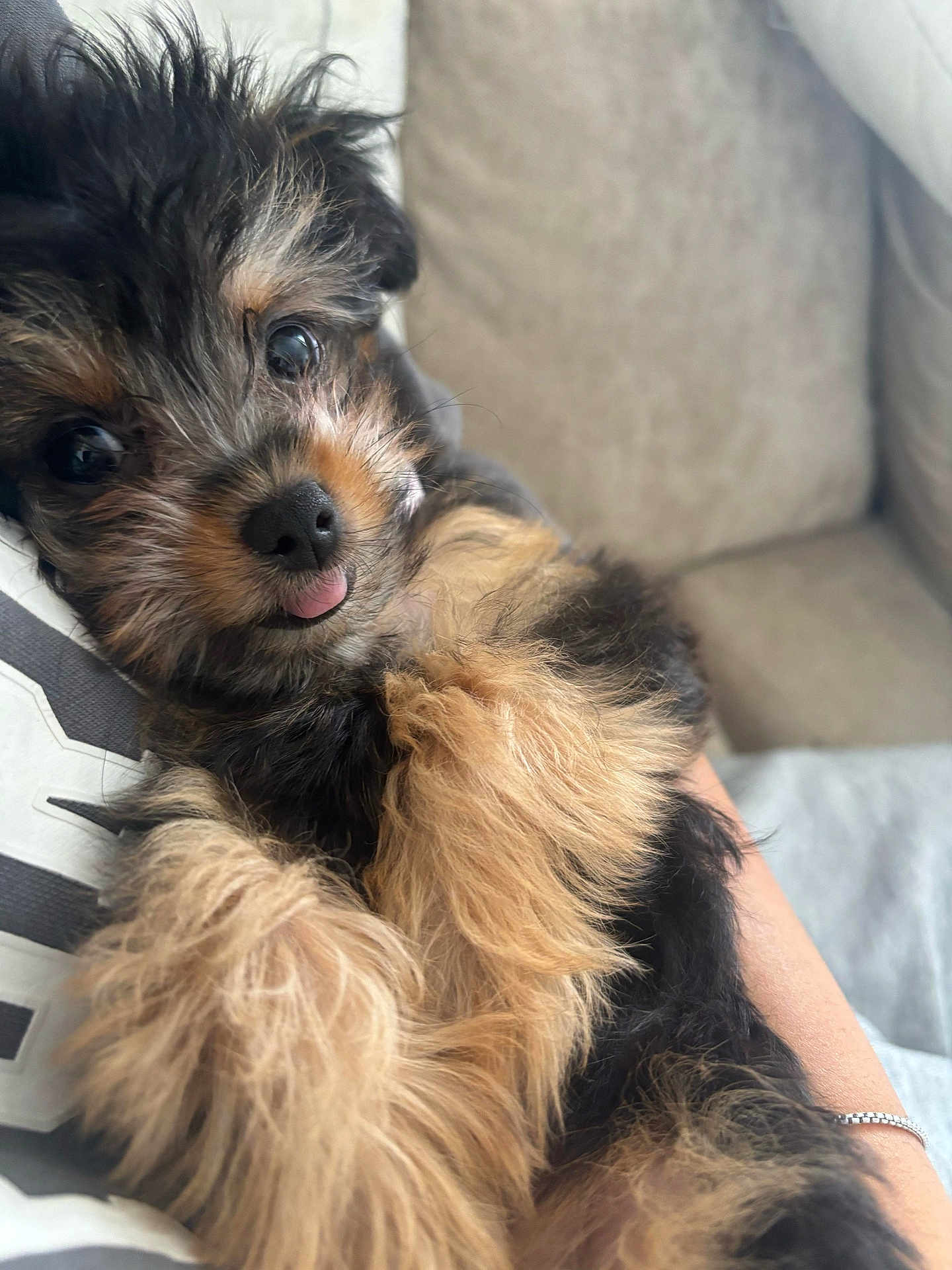 Bella