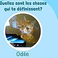 Odile L.