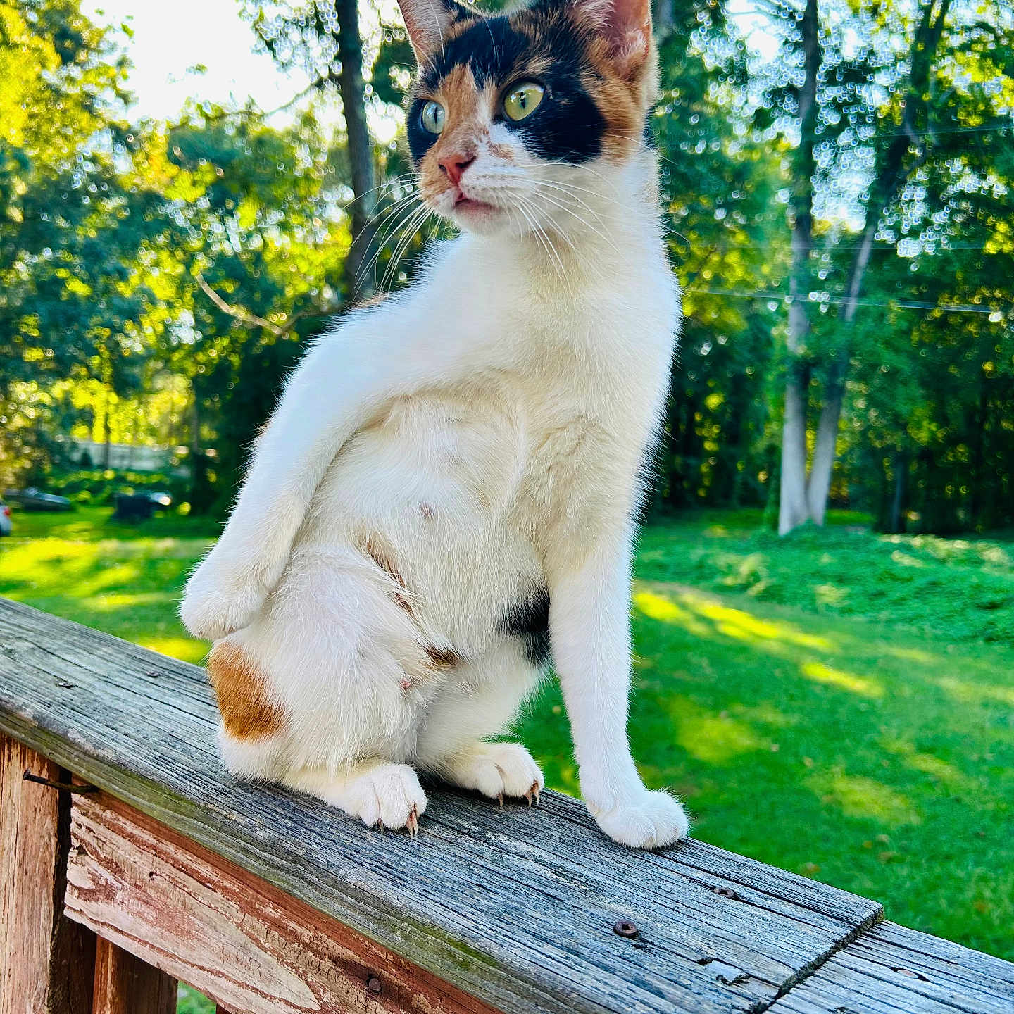 Lagetha