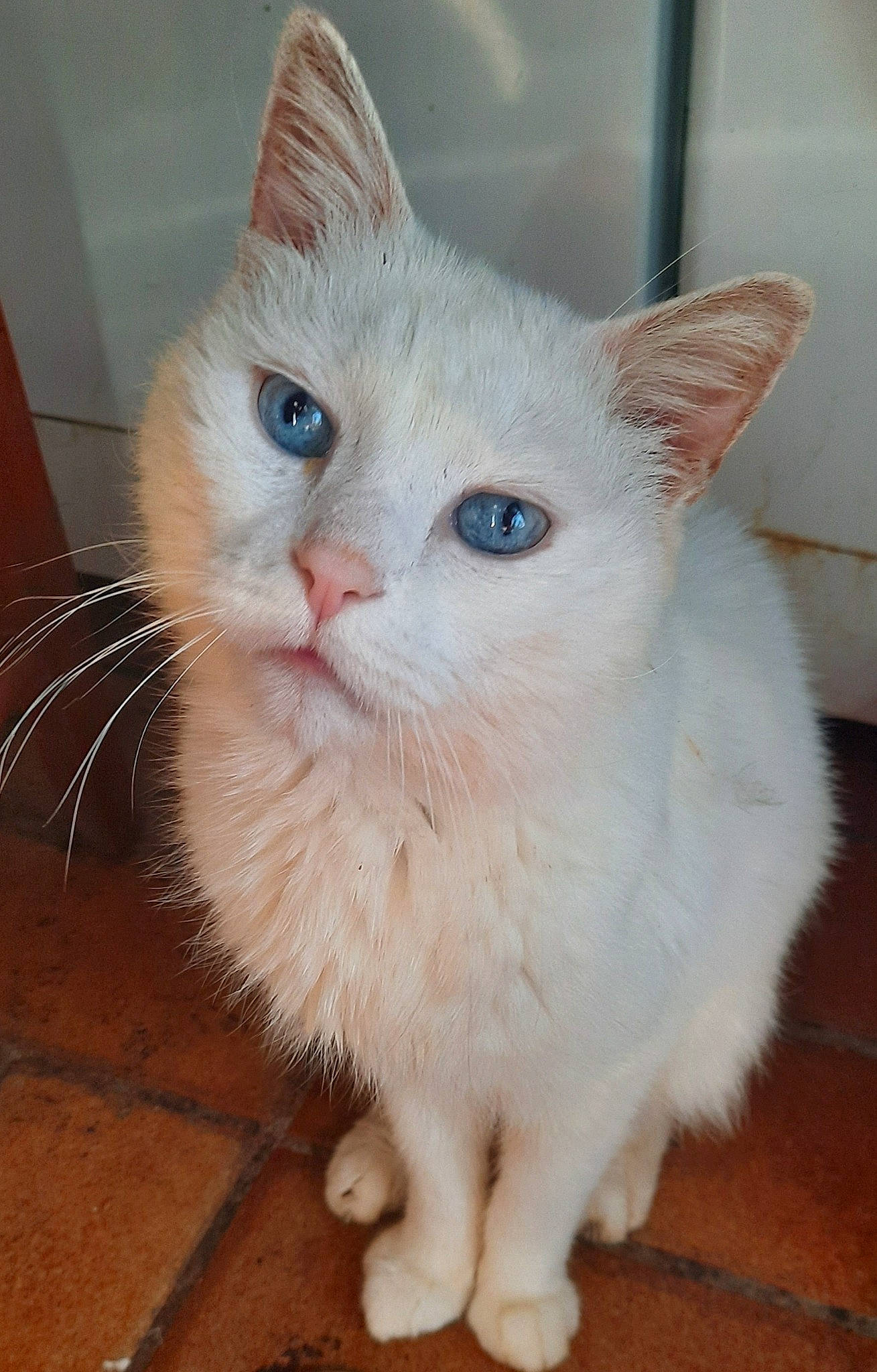 Bill