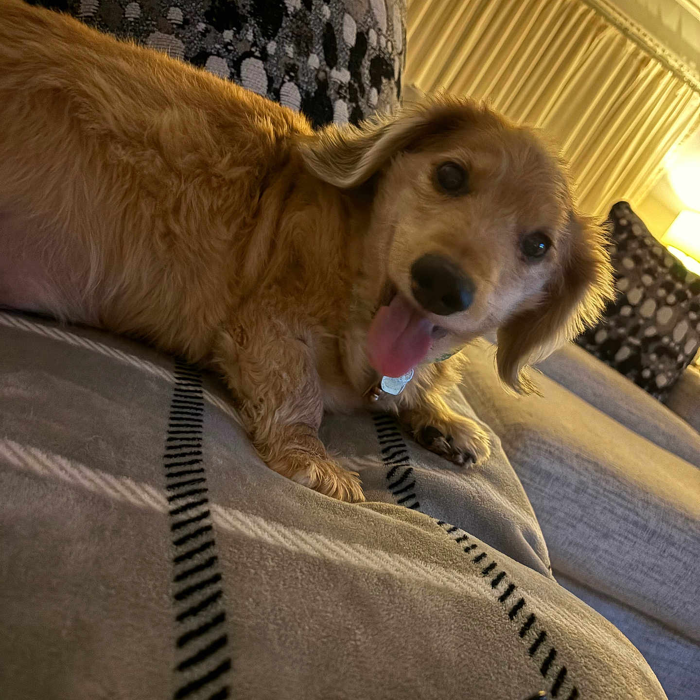 Cooper