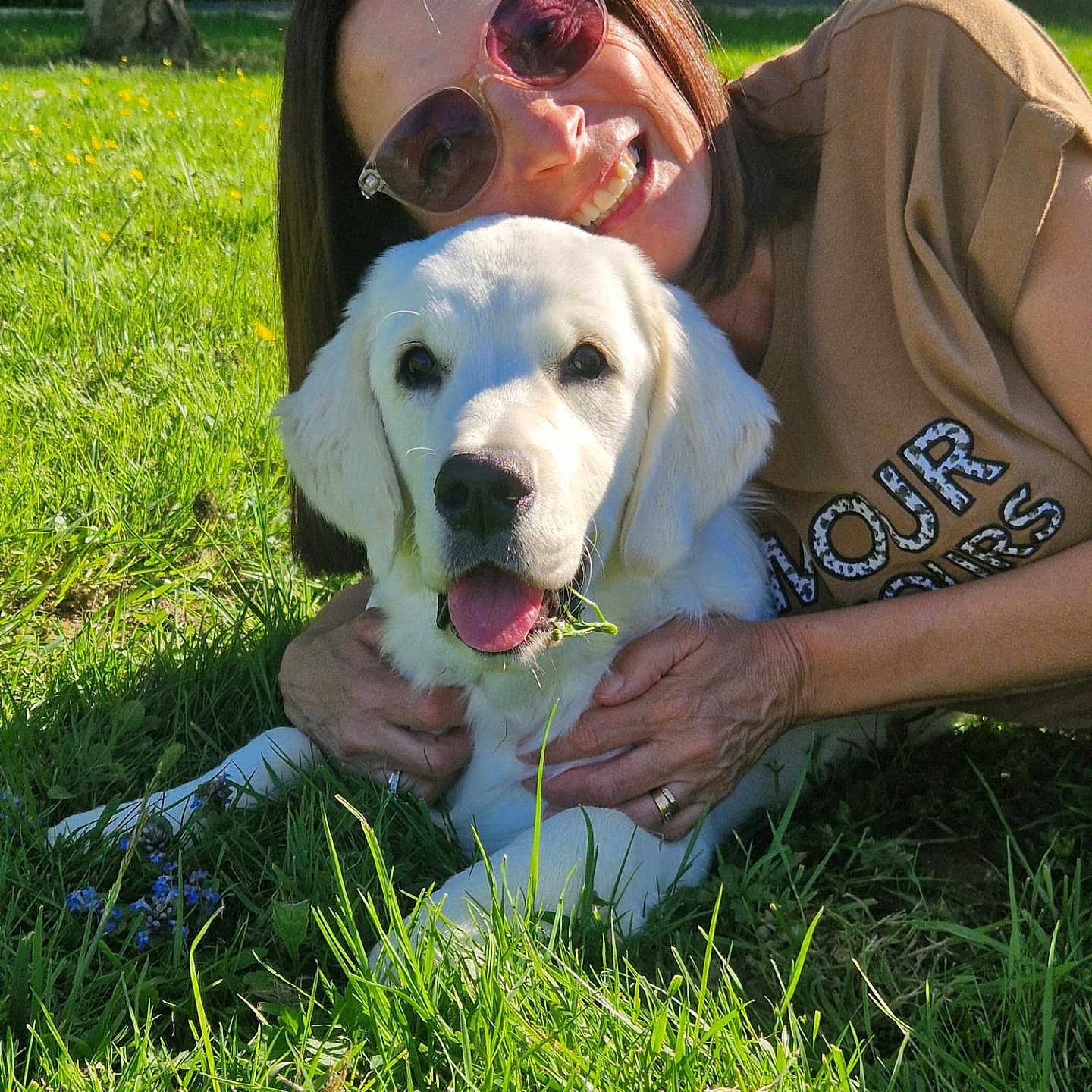 Angie participe au concours pour gagner de l'argent avec cette photo : woman, dog, puppy, grass, outdoor, sunlight, happy, smile, sunglasses, pet, nature, greenery, casual_clothing, summer, playing, friendship, animal, fun, relaxing, daytime