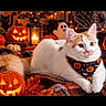 cat, kitten, white_cat, orange_patches, pet, animal, halloween, pumpkin, jack_o_lantern, ghost_decoration, candle, lantern, bandana, spooky, festive, indoor, blanket, lying_down, portrait, screenshot
