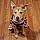 Dixie