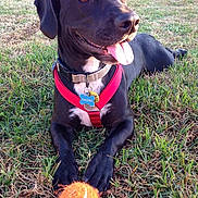 Kaleah is registered to the contest to win money with this photo: